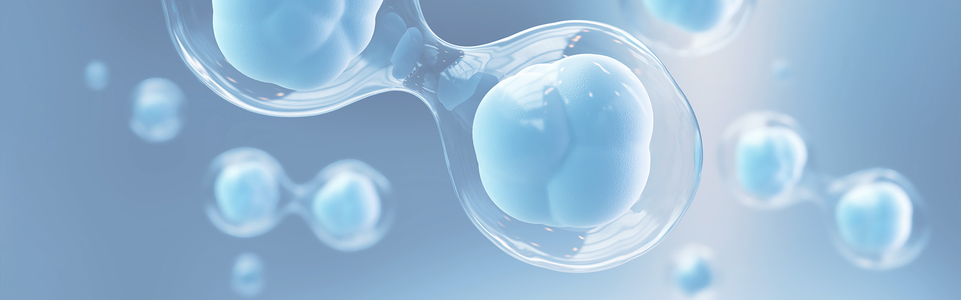 中国·88858cc永利(股份)有限公司-官方网站