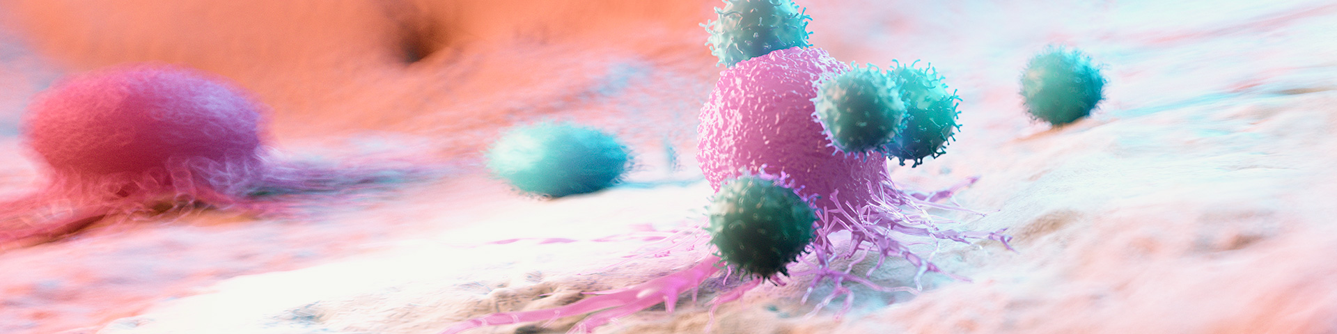 中国·88858cc永利(股份)有限公司-官方网站