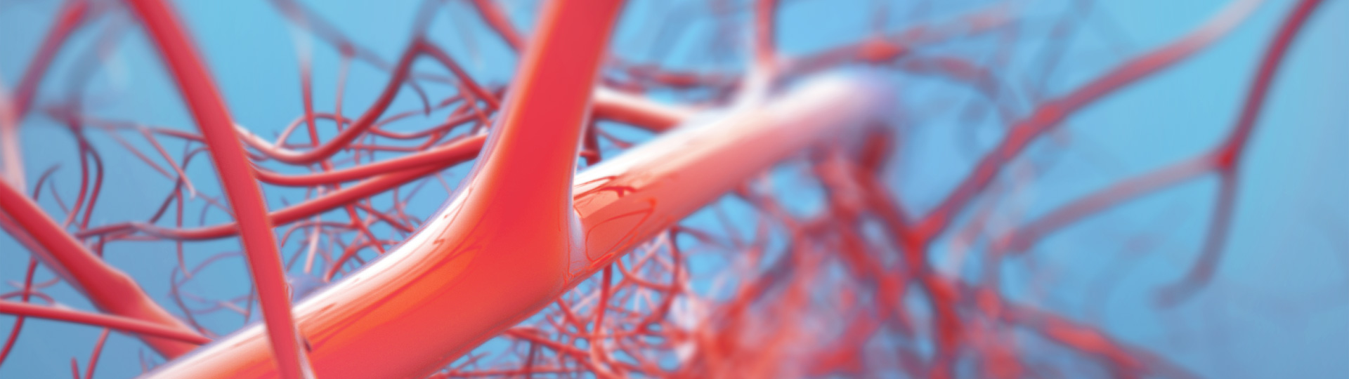 中国·88858cc永利(股份)有限公司-官方网站