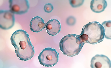 中国·88858cc永利(股份)有限公司-官方网站