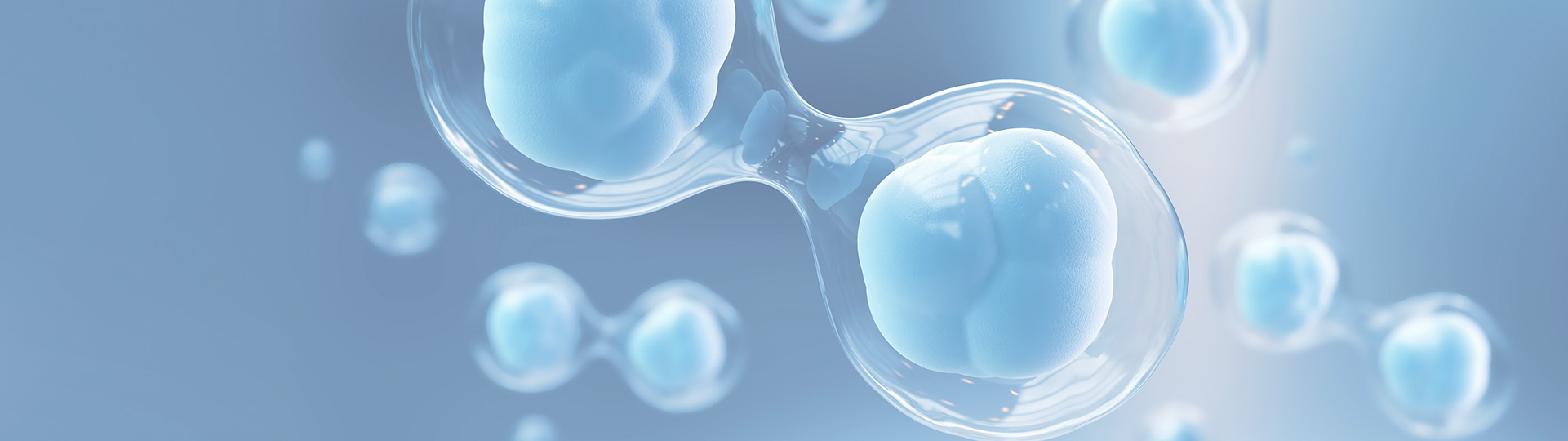 中国·88858cc永利(股份)有限公司-官方网站