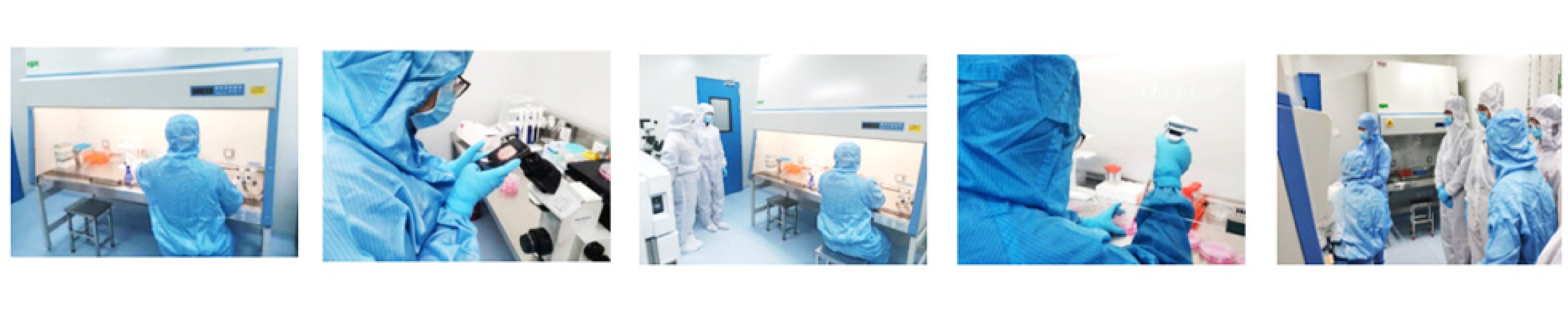 中国·88858cc永利(股份)有限公司-官方网站