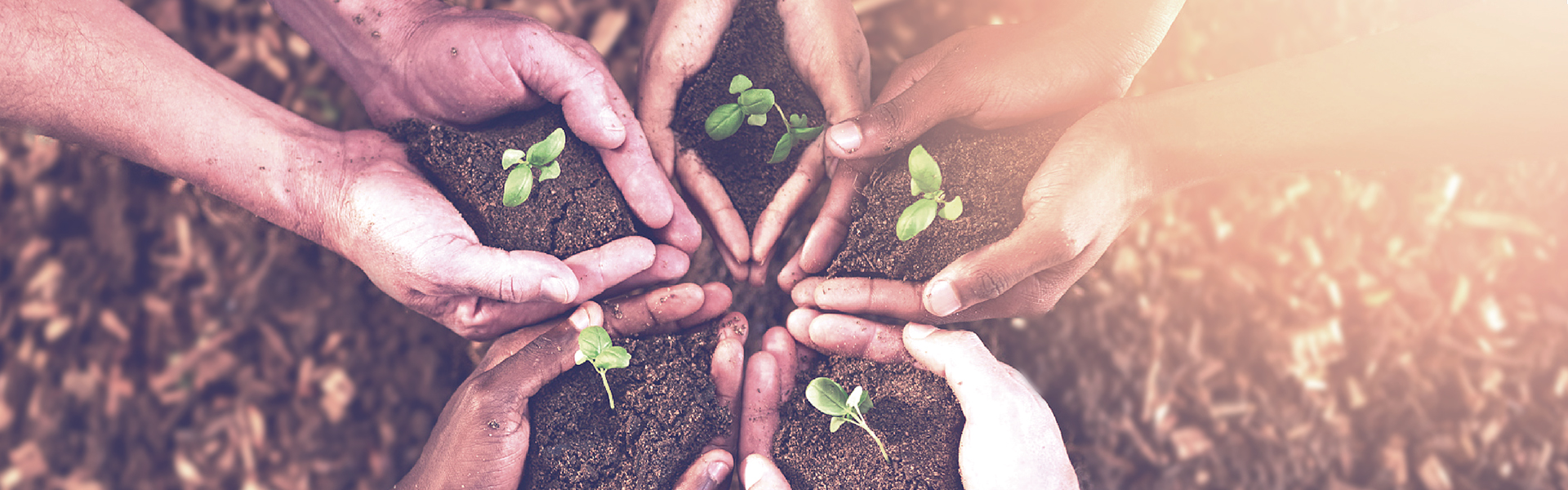 中国·88858cc永利(股份)有限公司-官方网站